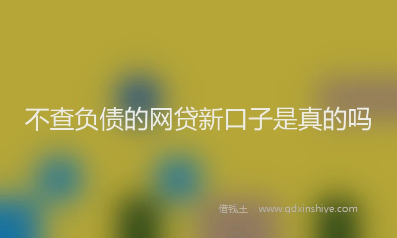 不查负债的网贷新口子是真的吗