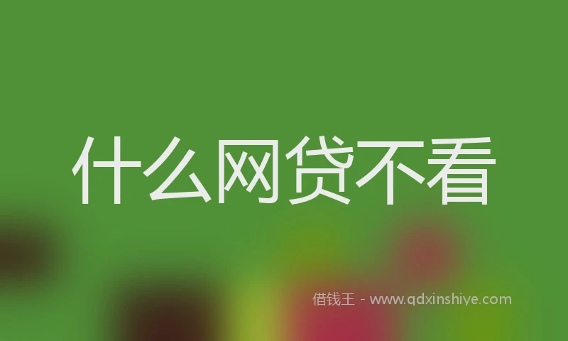 什么网贷不看