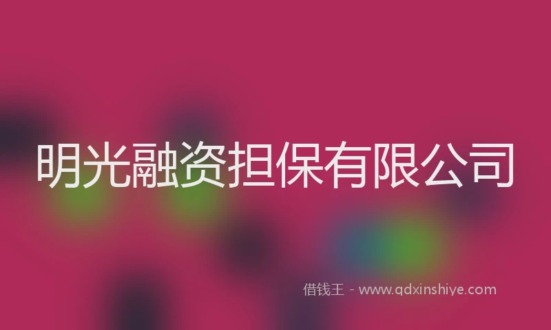 明光融资担保有限公司