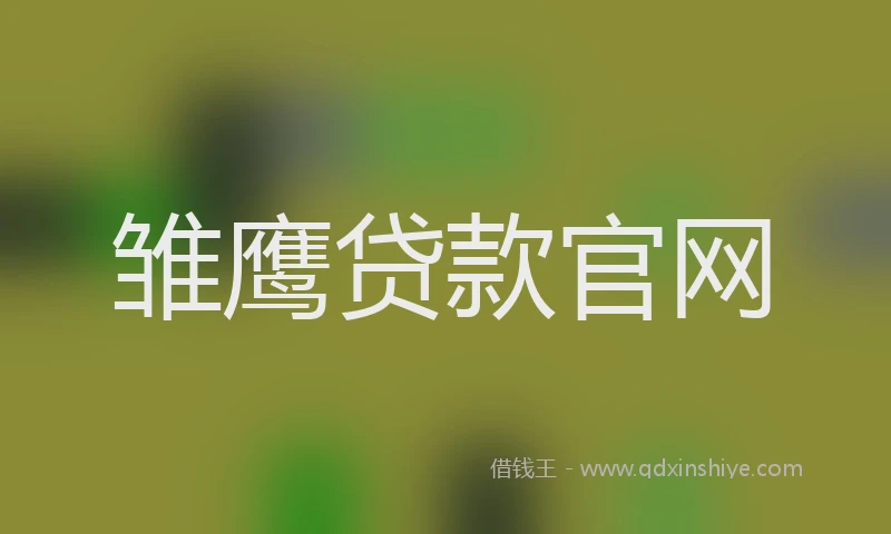 雏鹰贷款官网