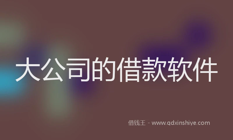 大公司的借款软件