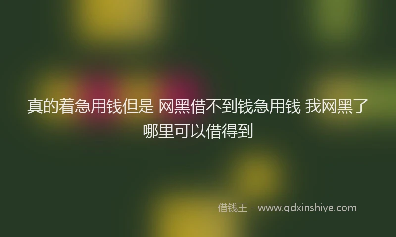 真的着急用钱但是 网黑借不到钱急用钱 我网黑了哪里可以借得到