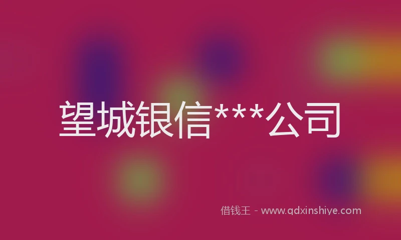 望城银信***公司