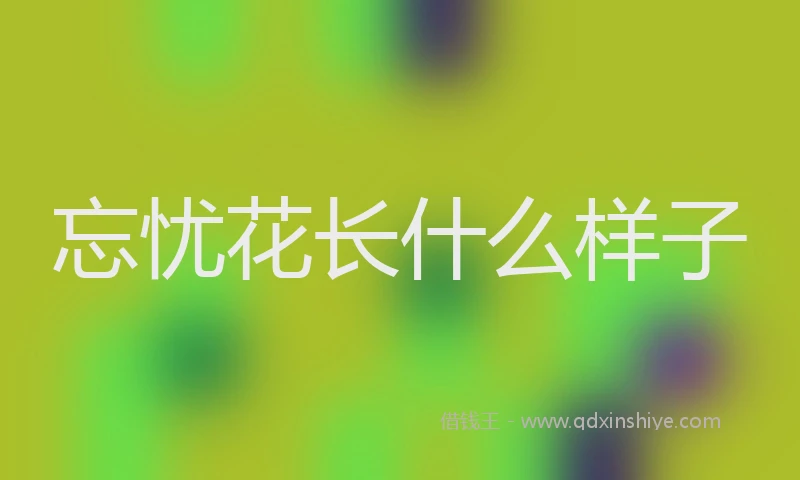 忘忧花长什么样子