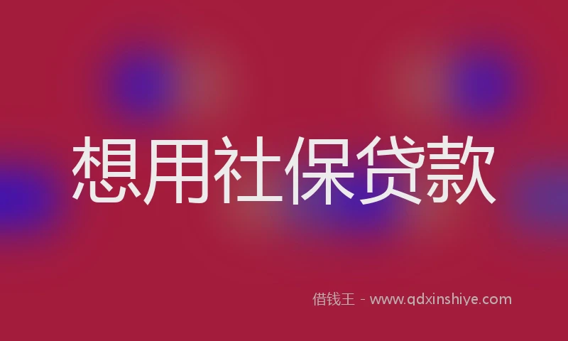 想用社保贷款