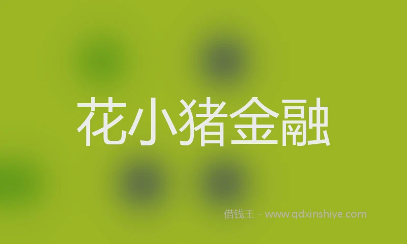 花小猪金融