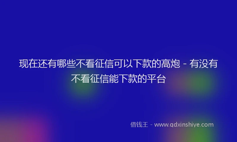 现在还有哪些不看征信可以下款的高炮 - 有没有不看征信能下款的平台