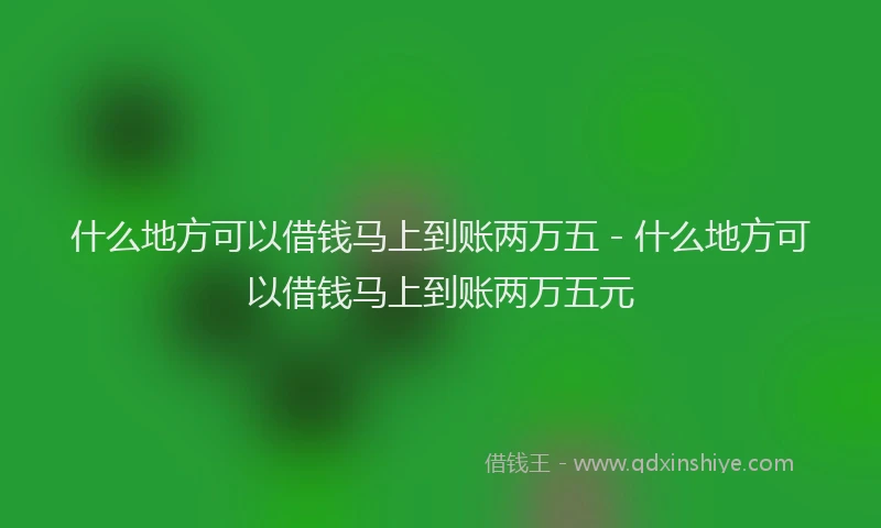 什么地方可以借钱马上到账两万五 - 什么地方可以借钱马上到账两万五元