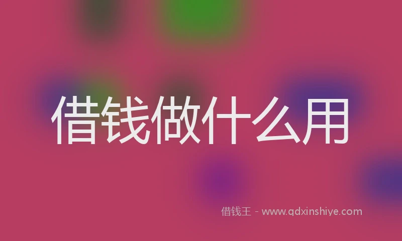 借钱做什么用