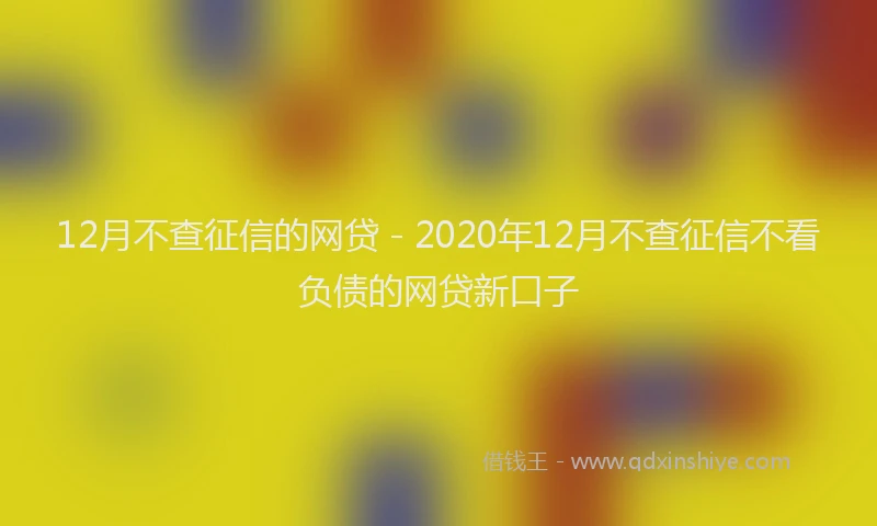 12月不查征信的网贷 - 2020年12月不查征信不看负债的网贷新口子