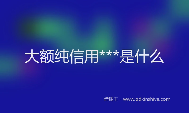 大额纯信用***是什么