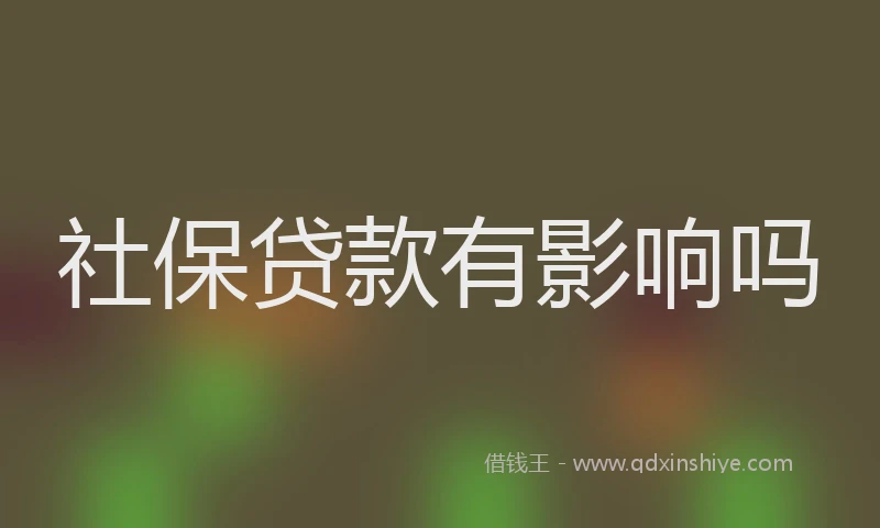 社保贷款有影响吗