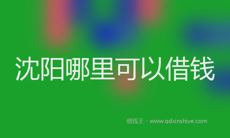沈阳哪里可以借钱