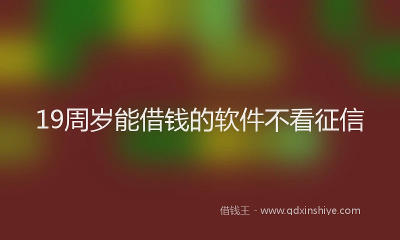 19周岁能借钱的软件不看征信