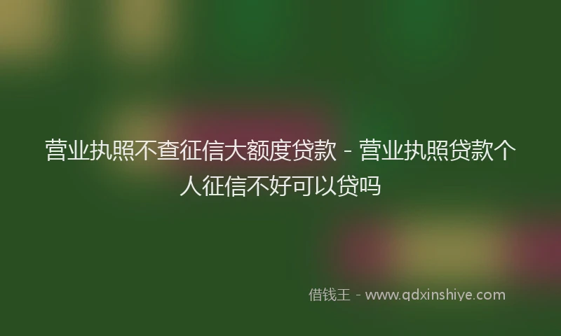 营业执照不查征信大额度贷款 - 营业执照贷款个人征信不好可以贷吗