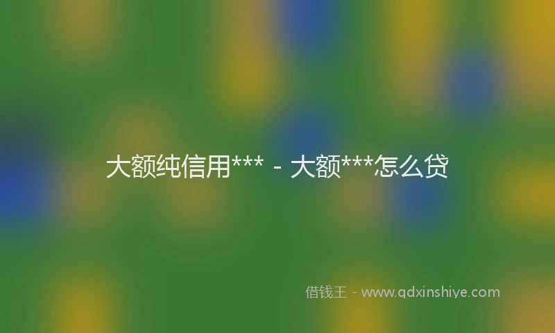 大额纯信用*** - 大额***怎么贷