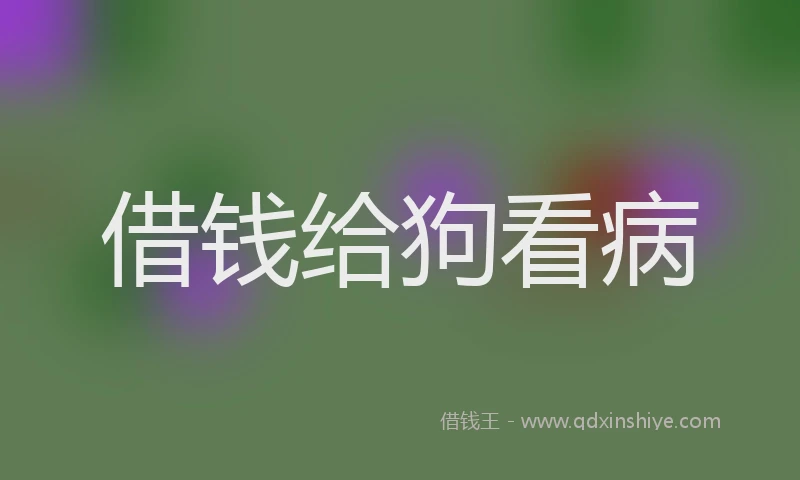 借钱给狗看病