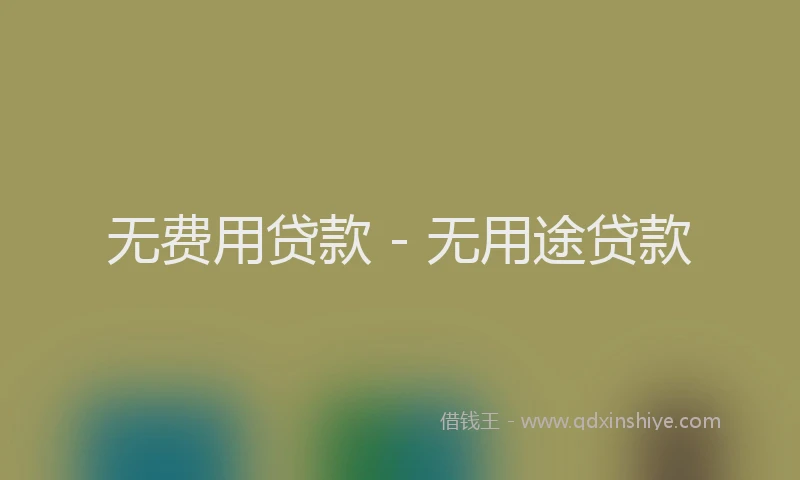 无费用贷款 - 无用途贷款