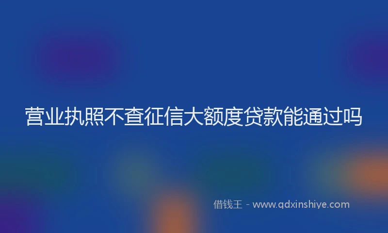 营业执照不查征信大额度贷款能通过吗