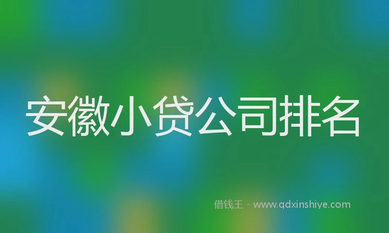 安徽小贷公司排名