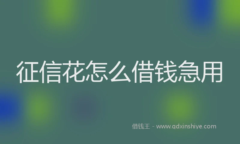 征信花怎么借钱急用