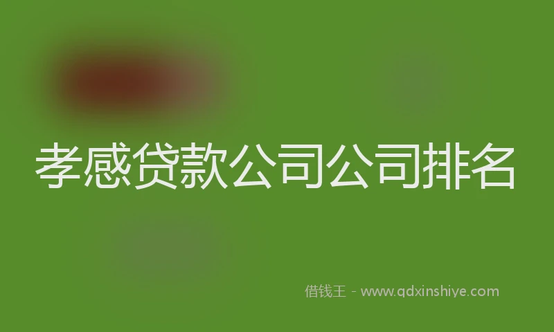 孝感贷款公司公司排名