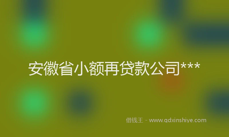 安徽省小额再贷款公司***