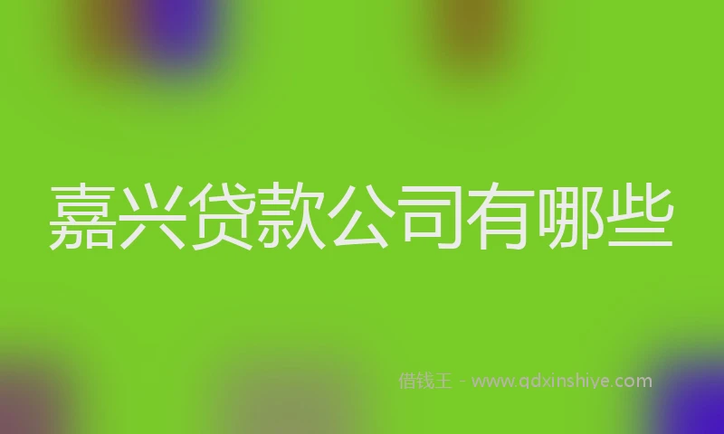 嘉兴贷款公司有哪些