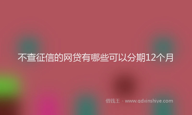 不查征信的网贷有哪些可以分期12个月