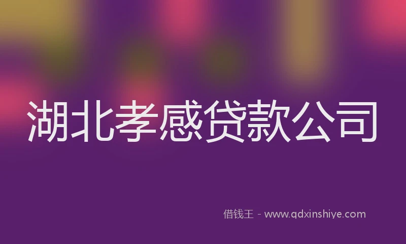 湖北孝感贷款公司