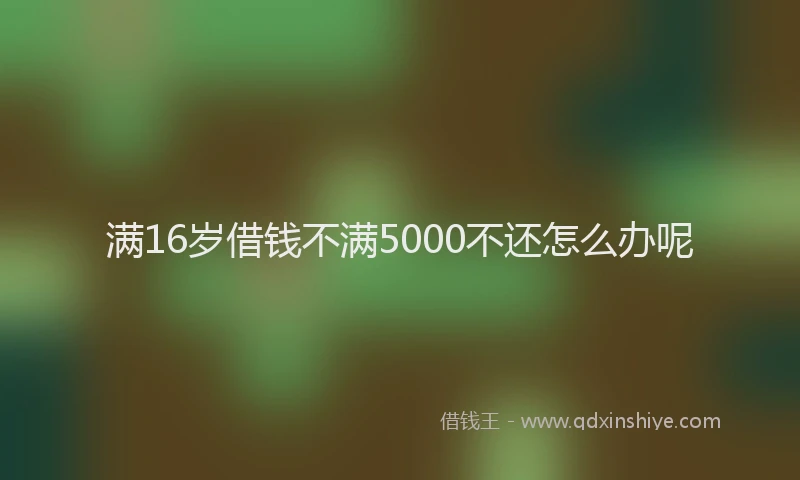 满16岁借钱不满5000不还怎么办呢