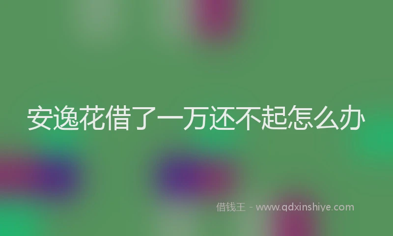 安逸花借了一万还不起怎么办