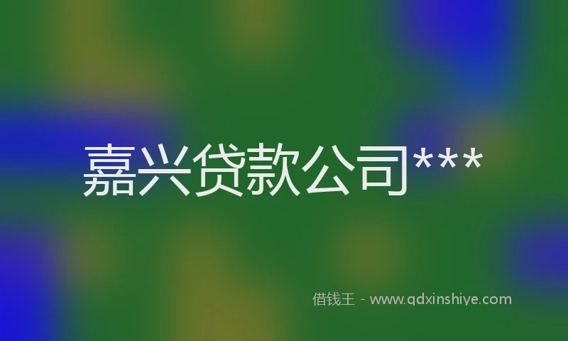 嘉兴贷款公司***