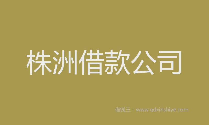 株洲借款公司