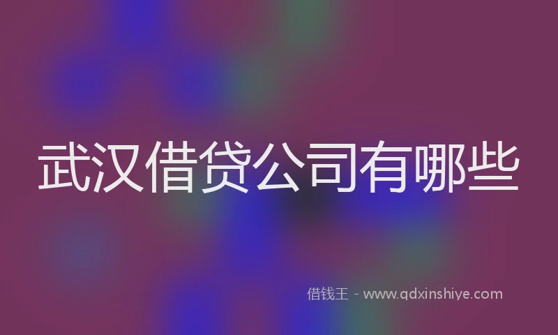 武汉借贷公司有哪些