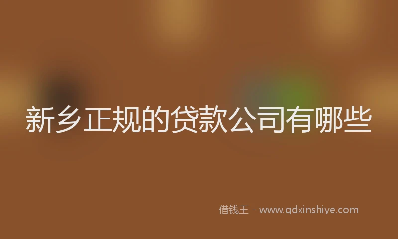 新乡正规的贷款公司有哪些