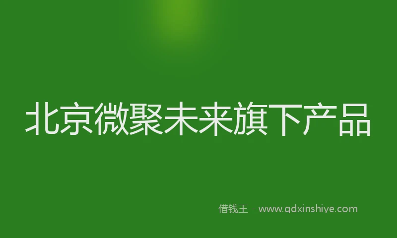 北京微聚未来旗下产品