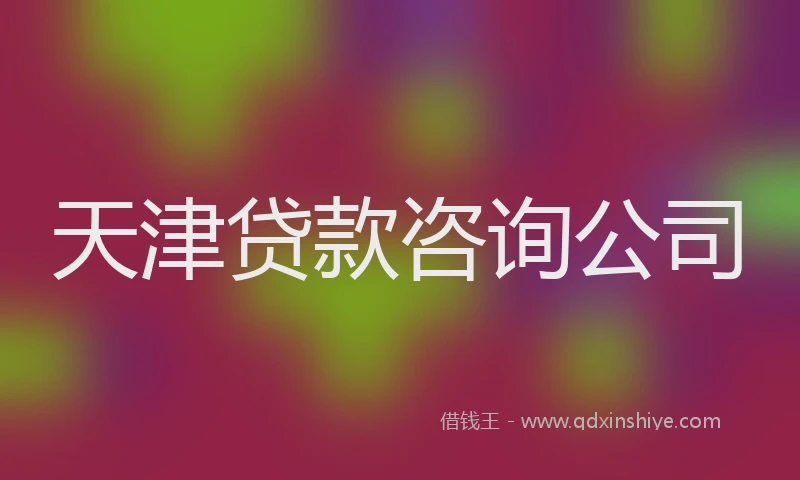 天津贷款咨询公司