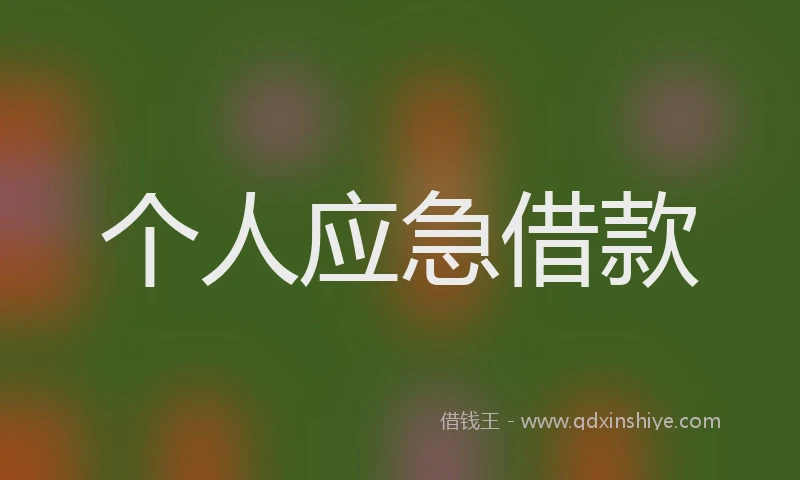 个人应急借款