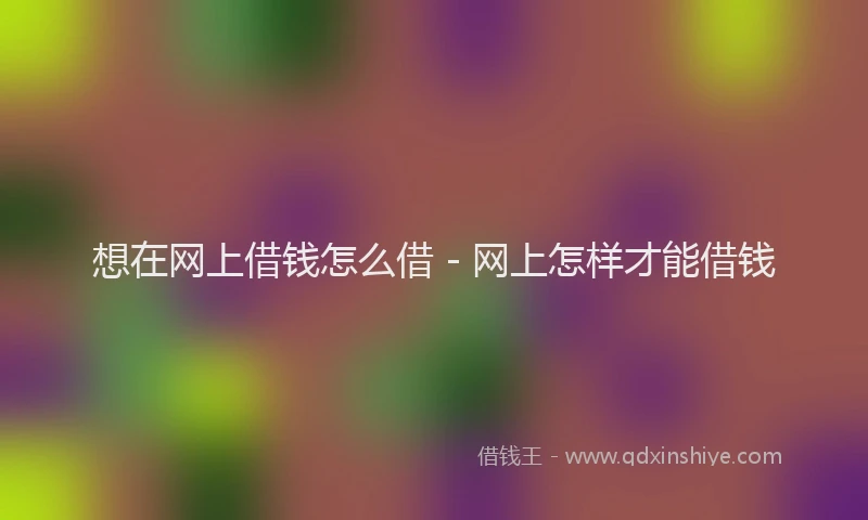 想在网上借钱怎么借 - 网上怎样才能借钱