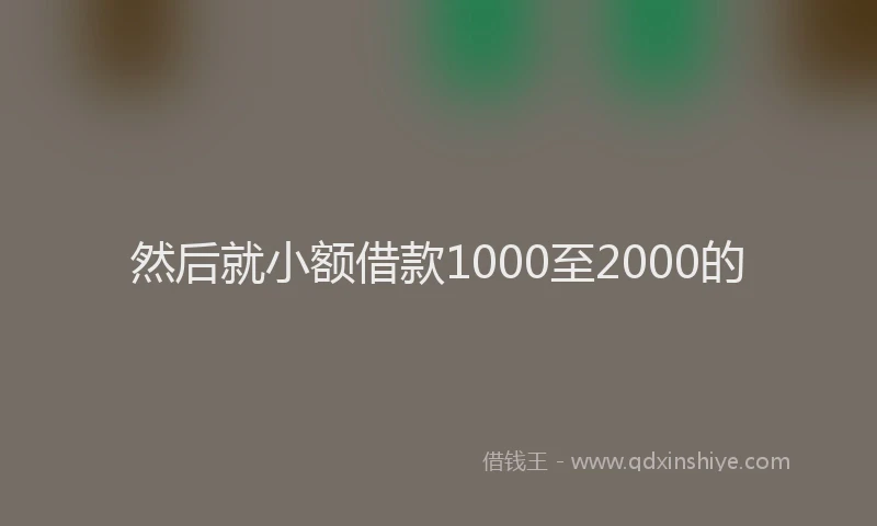 然后就小额借款1000至2000的
