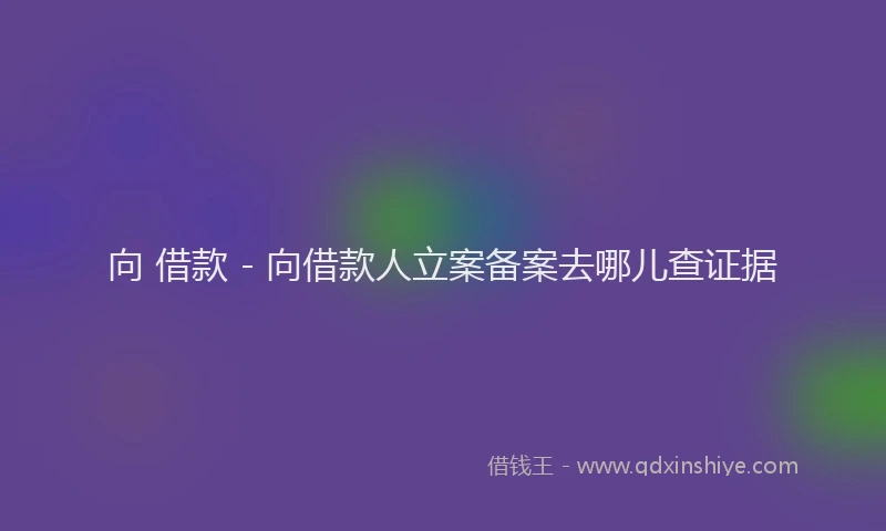 向 借款 - 向借款人立案备案去哪儿查证据