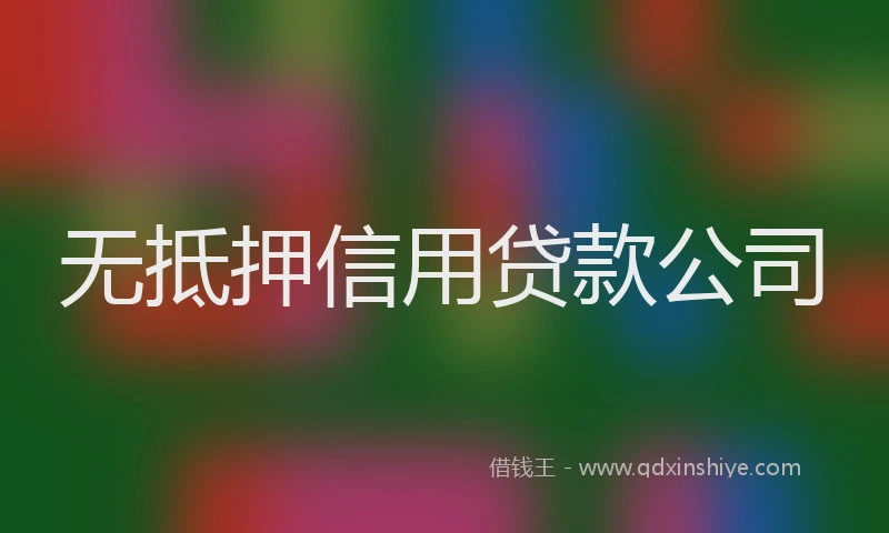 无抵押信用贷款公司