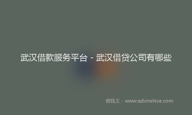 武汉借款服务平台 - 武汉借贷公司有哪些