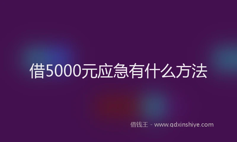 借5000元应急有什么方法