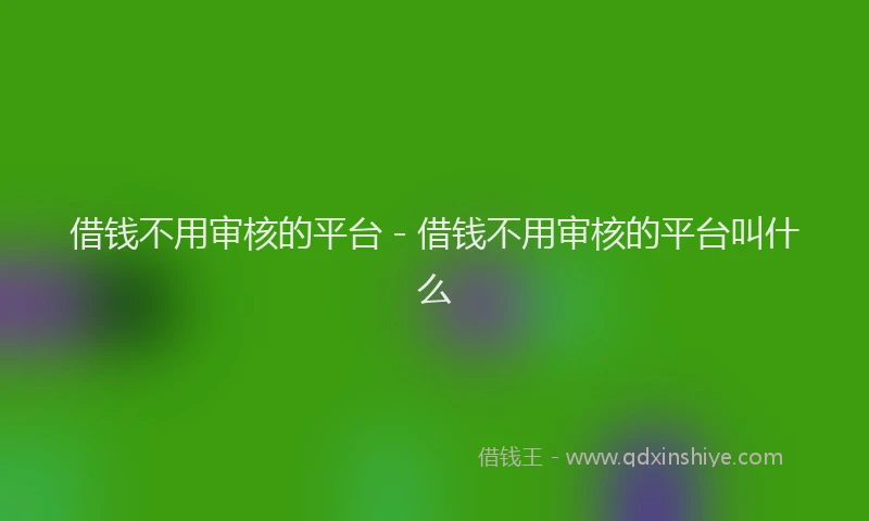 借钱不用审核的平台 - 借钱不用审核的平台叫什么
