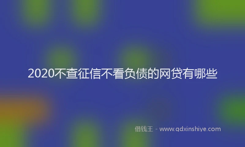 2020不查征信不看负债的网贷有哪些
