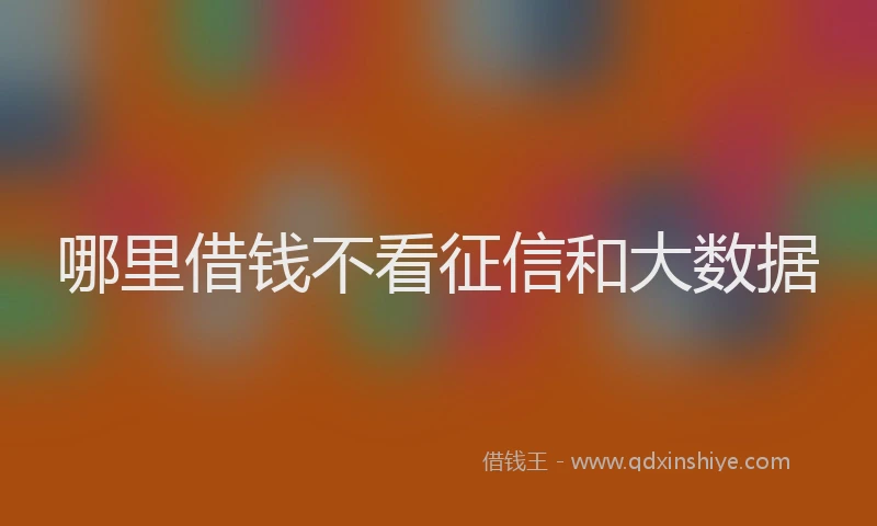 哪里借钱不看征信和大数据