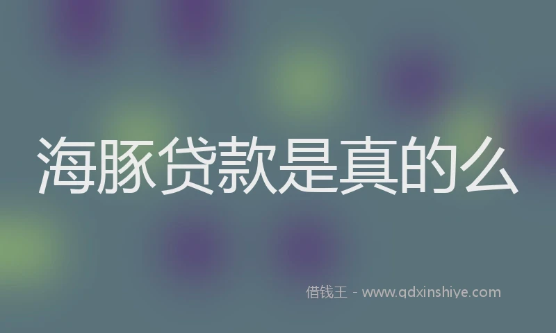 海豚贷款是真的么