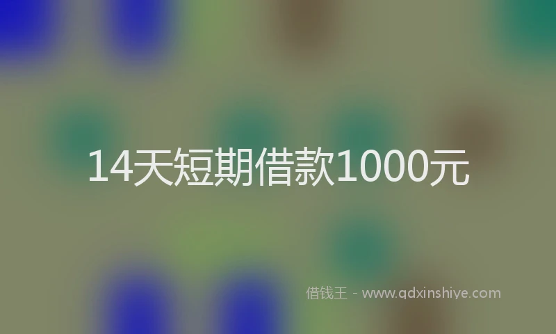 14天短期借款1000元